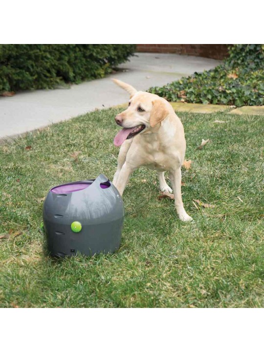 Petsafe automatický vrhač míčků 9 m šedý a fialový pty00-14665