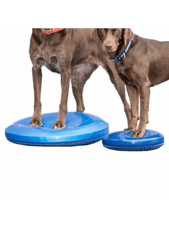 Fitpaws balanční disk pro zvířata 36 cm modrý