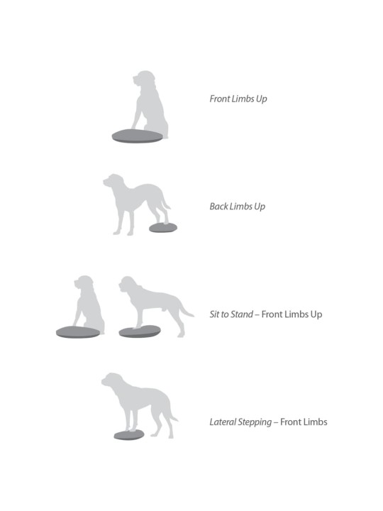 Fitpaws balanční disk pro zvířata 36 cm modrý