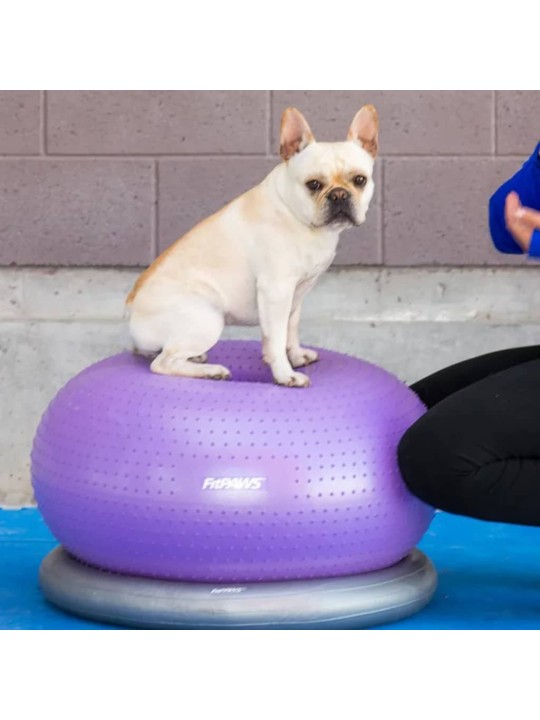 Fitpaws balanční míč pro domácí mazlíčky trax donut 55 cm fialový