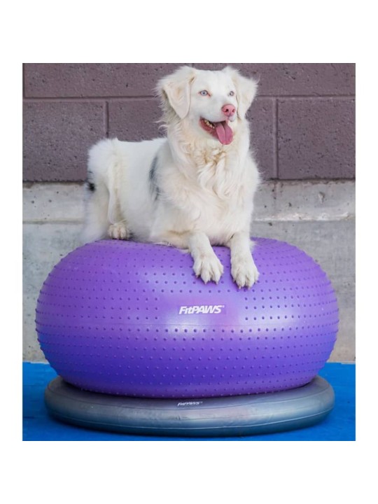 Fitpaws balanční míč pro domácí mazlíčky trax donut 55 cm fialový