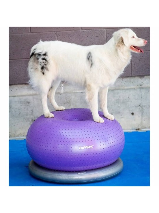 Fitpaws balanční míč pro domácí mazlíčky trax donut 55 cm fialový