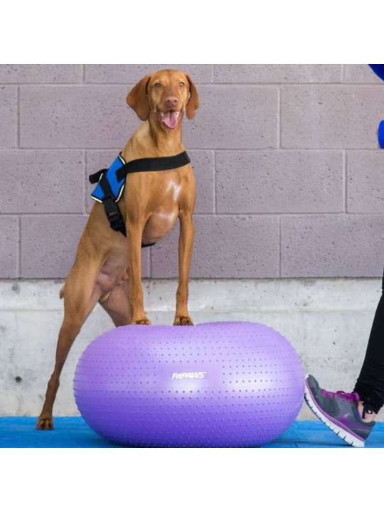 Fitpaws balanční míč pro domácí mazlíčky trax donut 55 cm fialový