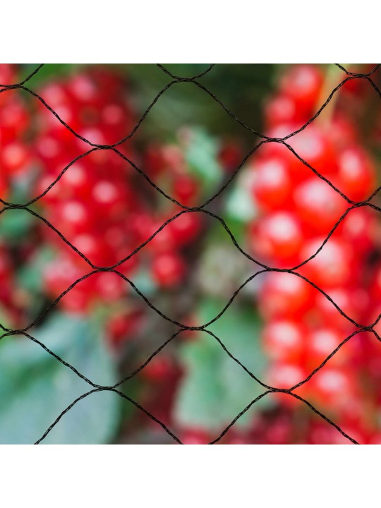 Nature Síť proti ptákům Primo 10 x 10 m černá 6030407
