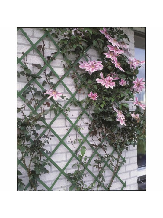 Nature Zahradní treláž 50 x 150 cm PVC zelená 6040702