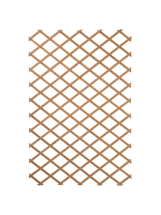Nature Zahradní treláž 50 x 150 cm dřevo přírodní