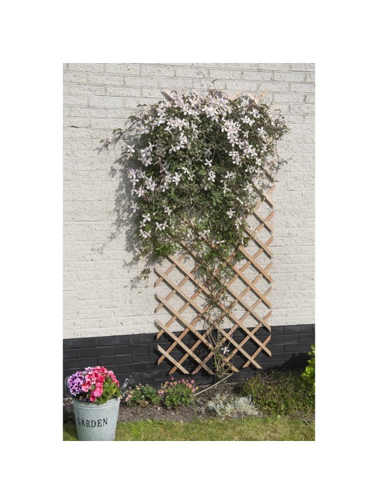 Nature Zahradní treláž 50 x 150 cm dřevo přírodní