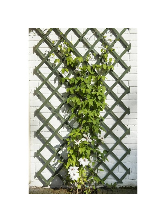 Nature Zahradní treláž 50 x 150 cm dřevo zelené