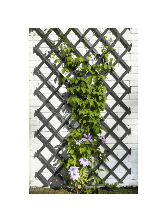 Nature Zahradní treláž 50 x 150 cm dřevo antracitová