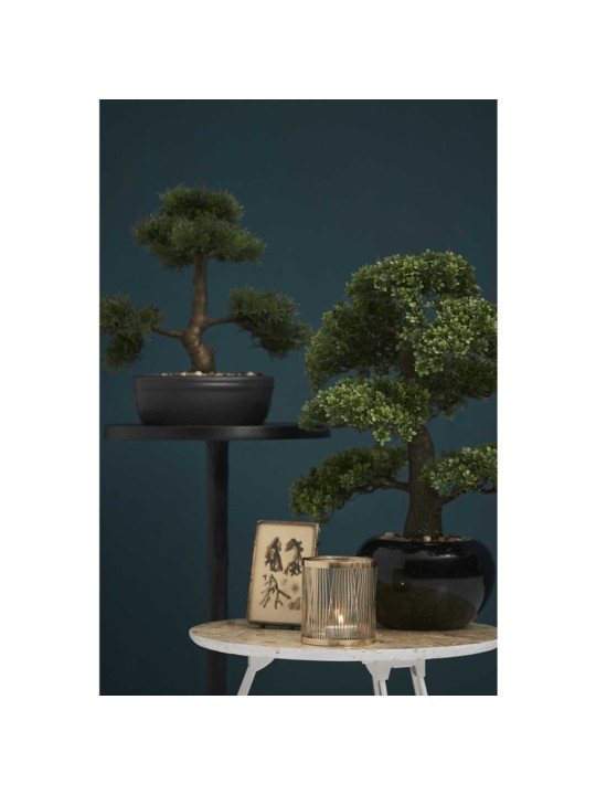 Emerald Umělý fíkus mini bonsai zelený 47 cm 420006