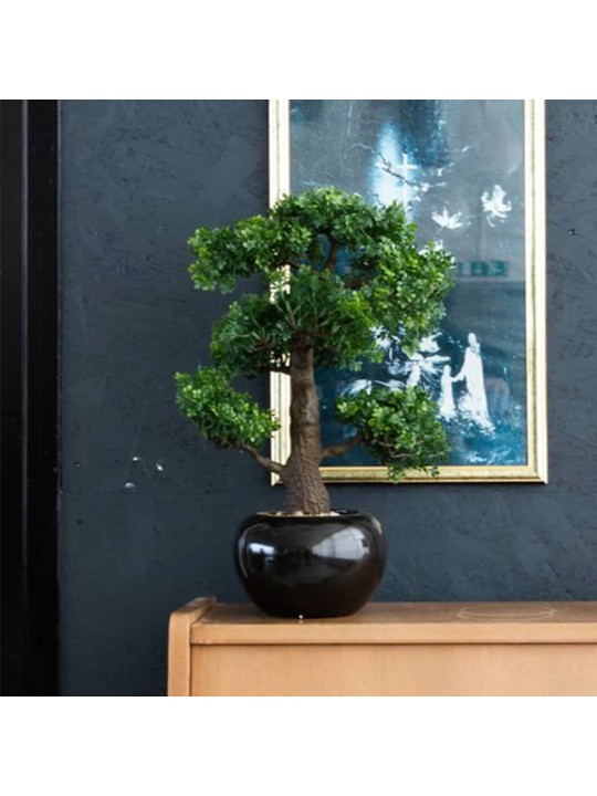 Emerald Umělý fíkus mini bonsai zelený 47 cm 420006