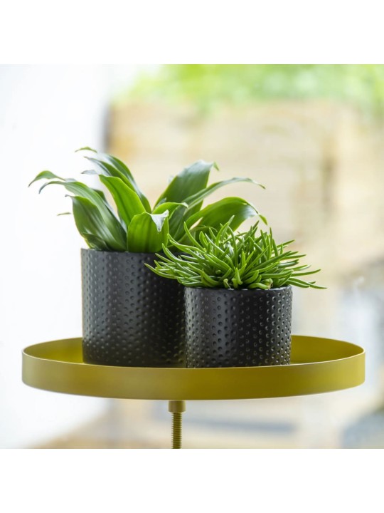 Esschert design stojan na rostliny se svorkou kulatý zlatý l