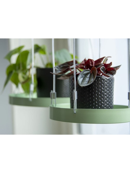 Esschert design závěsný podnos na rostliny kulatý zelený s