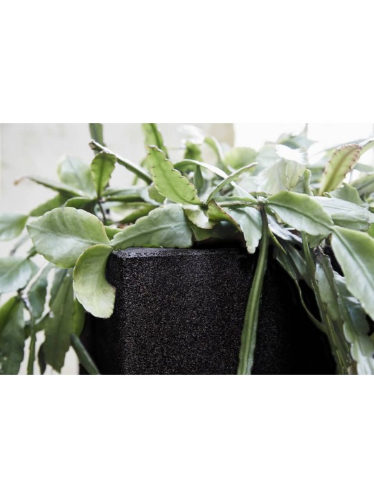 Capi Truhlík Urban Smooth čtvercový 30 x 30 x 30 cm černý KBL902