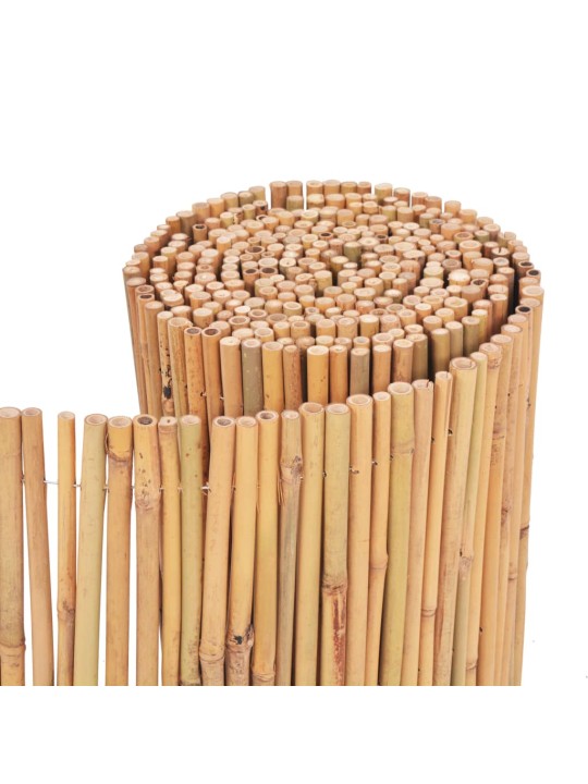 Bambusový plot 500 x 50 cm