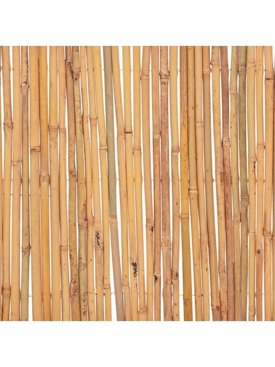 Bambusový plot 500 x 50 cm