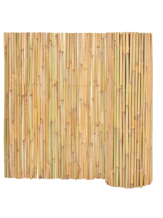 Bambusový plot 300 x 100 cm