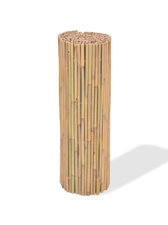 Bambusový plot 300 x 100 cm