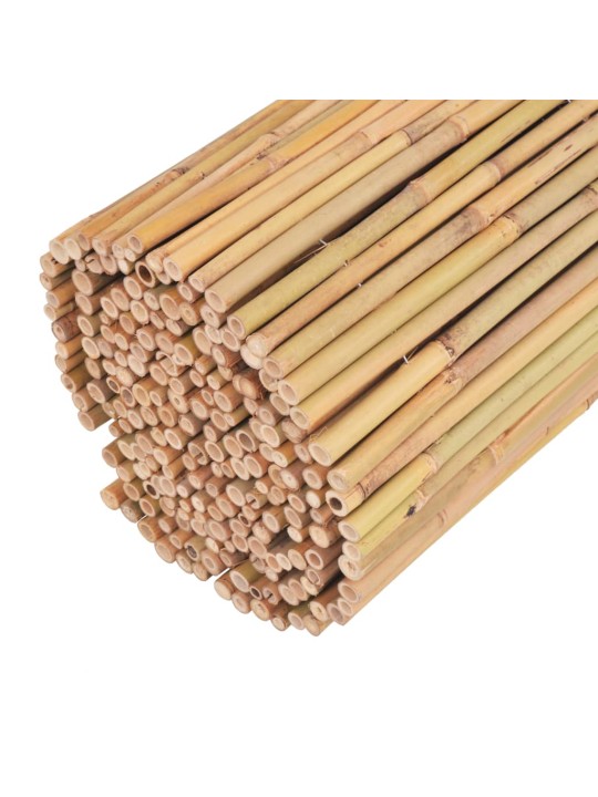 Bambusový plot 300 x 100 cm