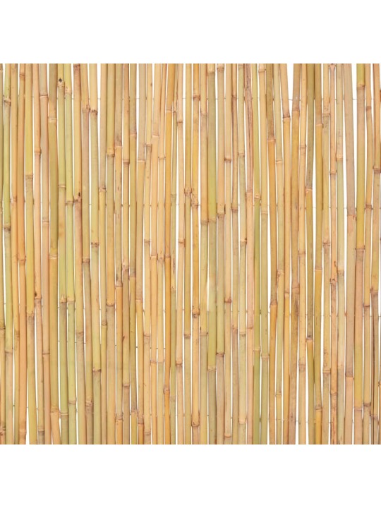 Bambusový plot 300 x 100 cm