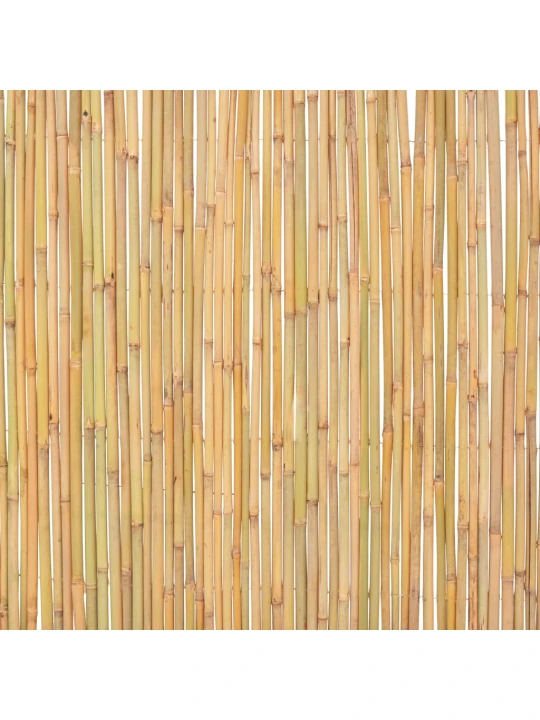 Bambusový plot 300 x 100 cm