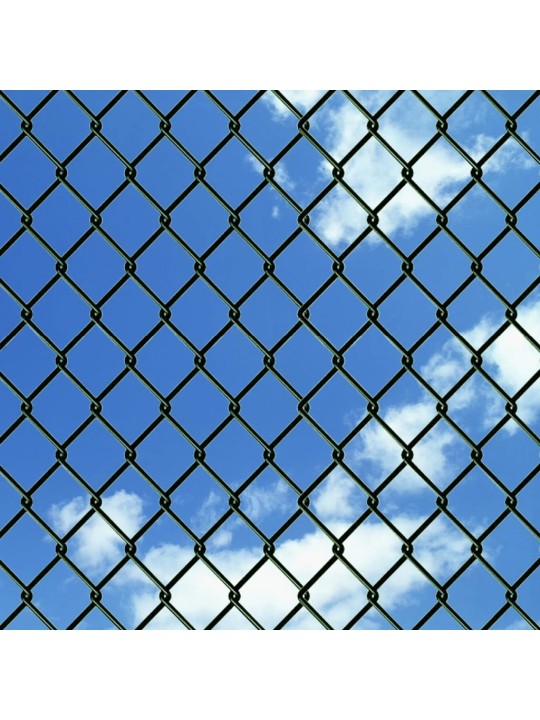 Drátěné pletivo ocel 1,25 x 15 m zelené