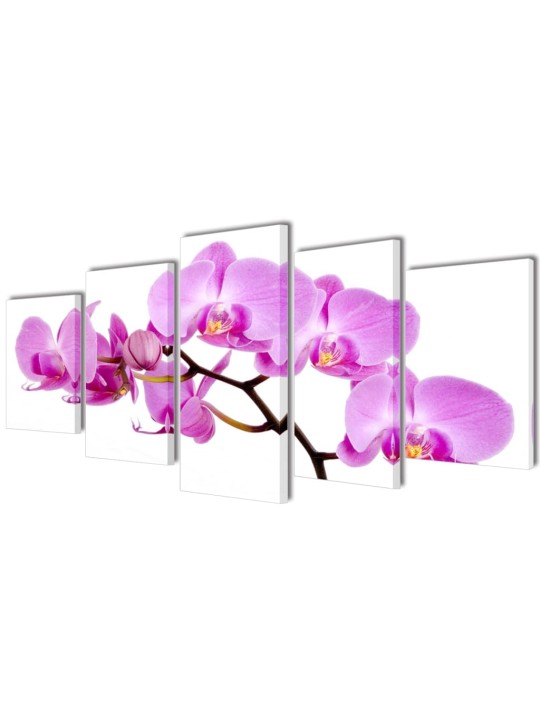 Sada obrazů, tisk na plátně, orchidej, 100 x 50 cm
