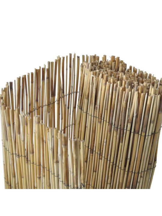 Zahradní rákosový plot 500 x 100 cm