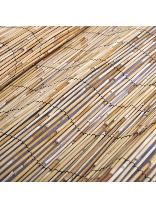 Zahradní rákosový plot 500 x 100 cm