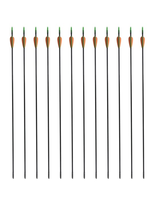 Standardní šípy k recurve luku 30" 0,6 cm sklolaminát 12 ks