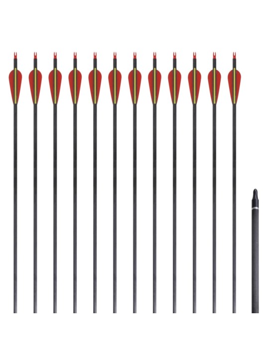 Standardní šípy k recurve luku 30" 0,76 cm karbon 12 ks