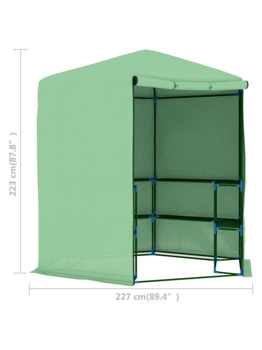 Skleník s policemi ocel 227 x 223 cm