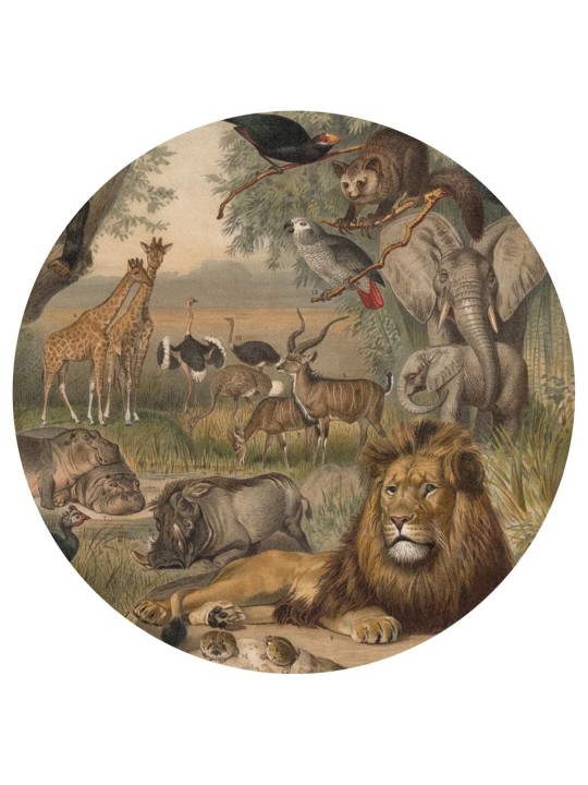 Wallart kruhová tapeta animals of africa 142,5 cm