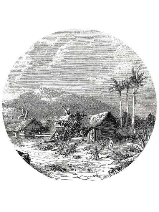 Wallart kruhová tapeta landscape of guadeloupe 190 cm