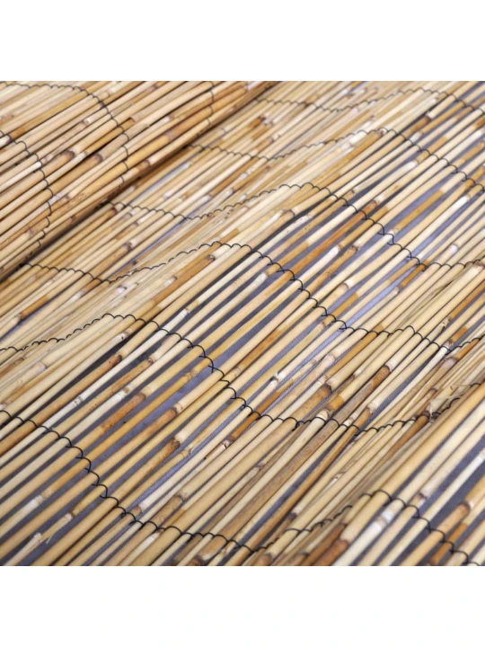Zahradní rákosový plot 100 x 1 000 cm