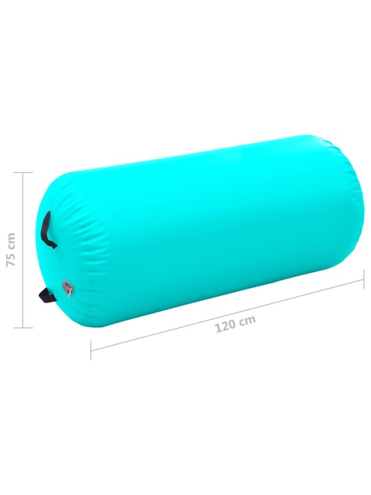 Nafukovací cvičební válec s pumpou 120 x 75 cm PVC zelený