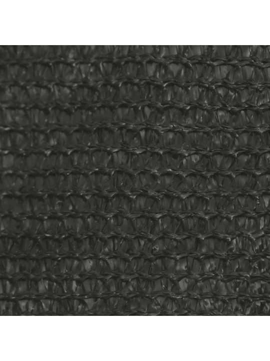 Plachta proti slunci 160 g/m² antracitová 5 x 5 m HDPE