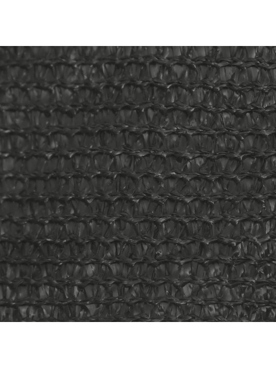 Plachta proti slunci 160 g/m² antracitová 2 x 5 m HDPE