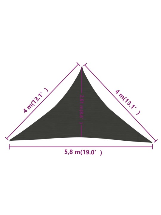 Stínicí plachta 160 g/m² antracitová 4 x 4 x 5,8 m HDPE