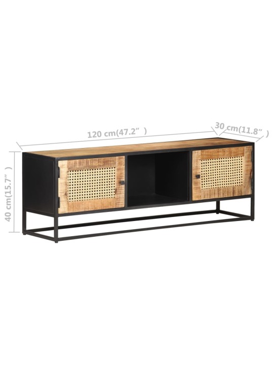Tv stolek 120x30x40 cm hrubé masivní mangovník a přírodní rákos