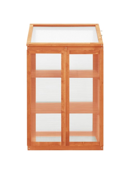 Skleník 60 x 45 x 100 cm jedlové dřevo