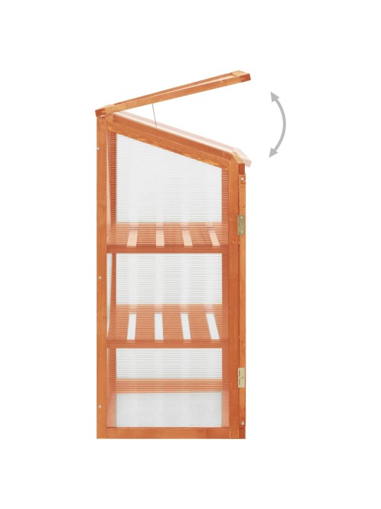 Skleník 60 x 45 x 100 cm jedlové dřevo