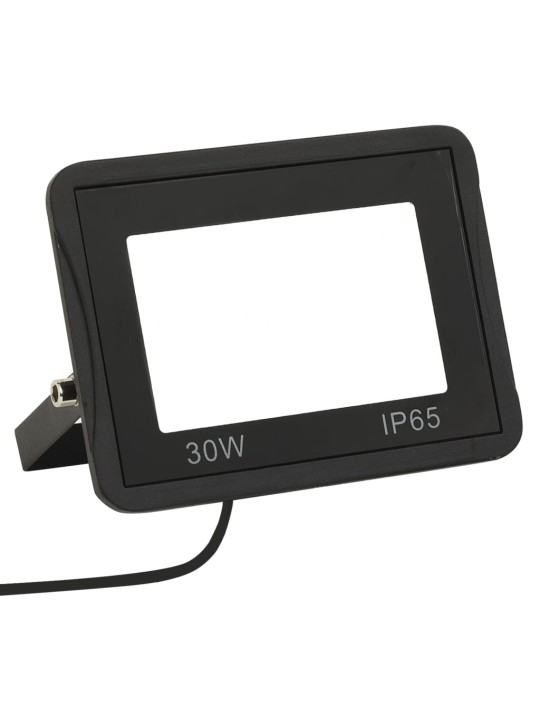 LED reflektory 2 ks 30 W studené bílé světlo