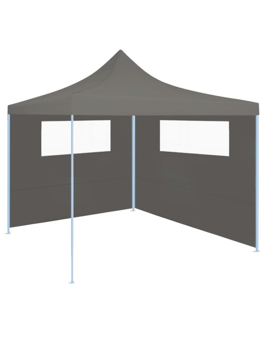 Boční stěna k party stanu s okny 6 x 2 m antracitová