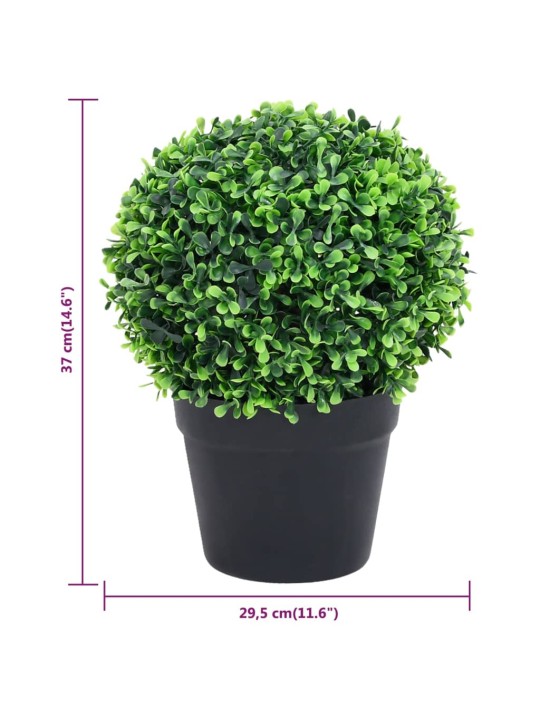 Umělé zimostrázy ve tvaru koule 2 ks s květináči zelené 37 cm