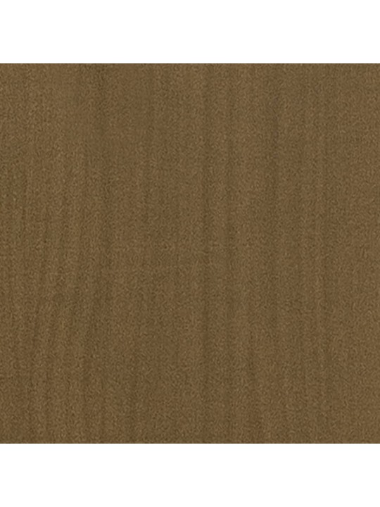 Knihovna / dělicí stěna medově hnědá 40x30x167,5 cm borovice