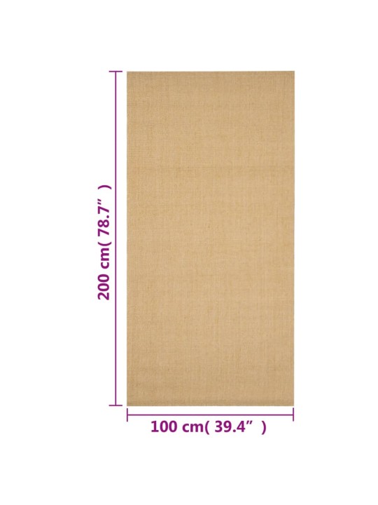 Koberec přírodní sisal 100 x 200 cm