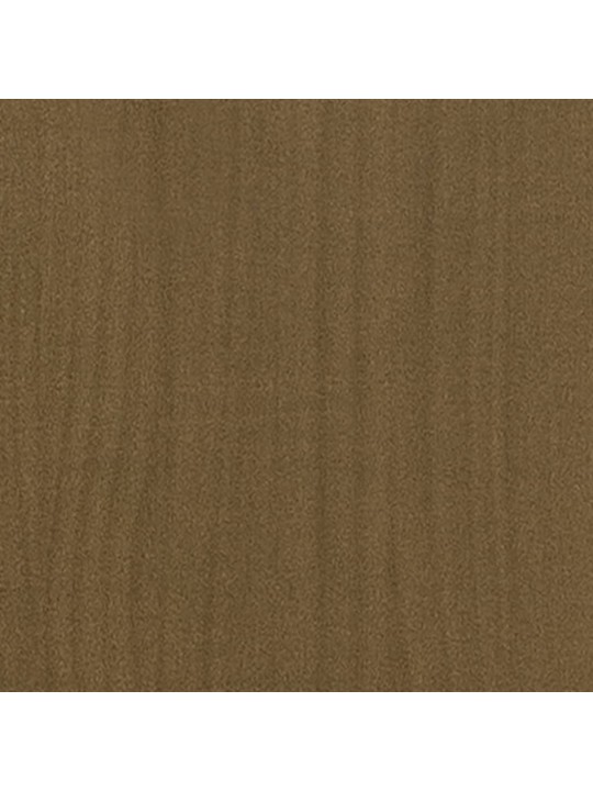 Zahradní truhlík medově hnědý 31 x 31 x 31 cm masivní borovice