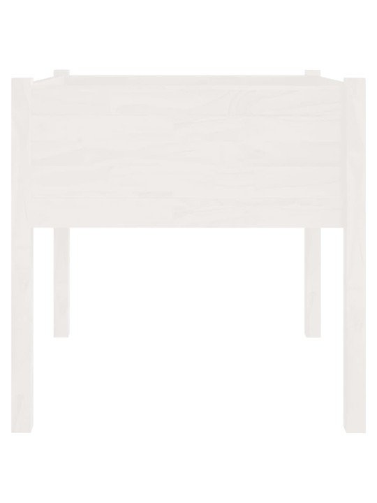 Zahradní truhlíky 2 ks bílé 70 x 70 x 70 cm masivní borovice