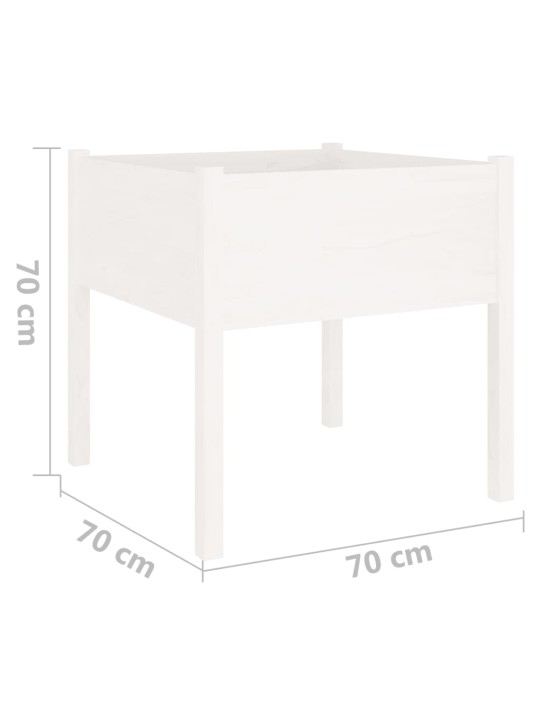 Zahradní truhlíky 2 ks bílé 70 x 70 x 70 cm masivní borovice